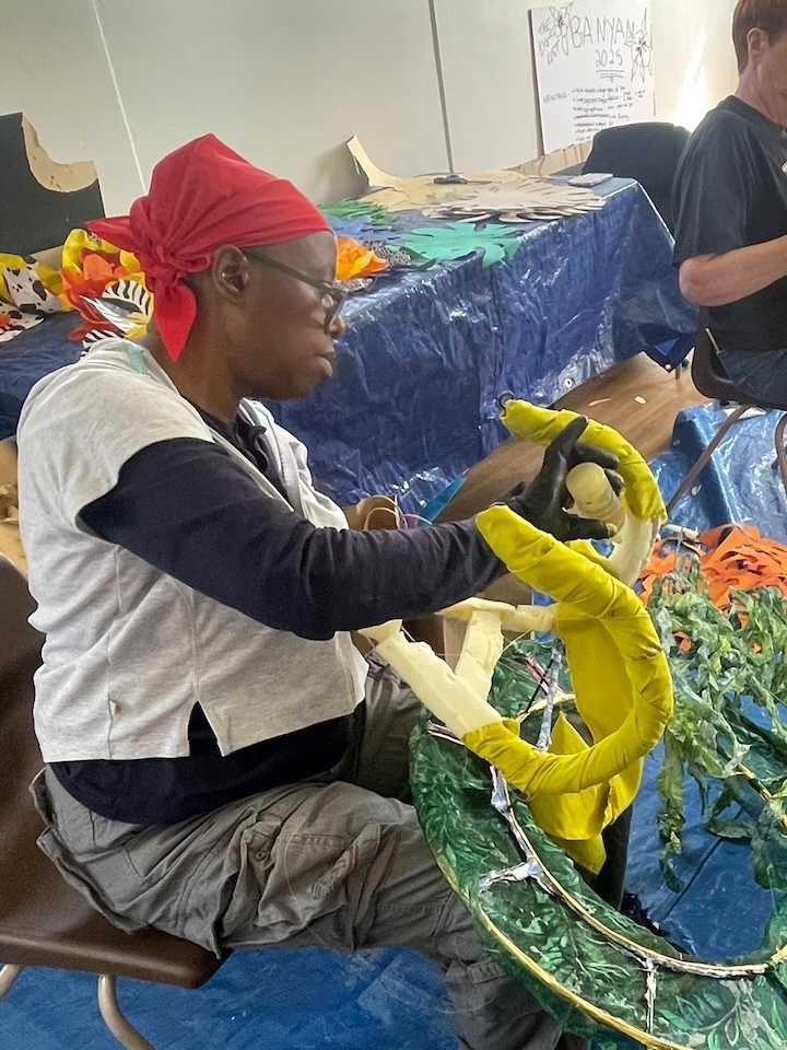 Sandra Whyles, Artist and community arts facilitator